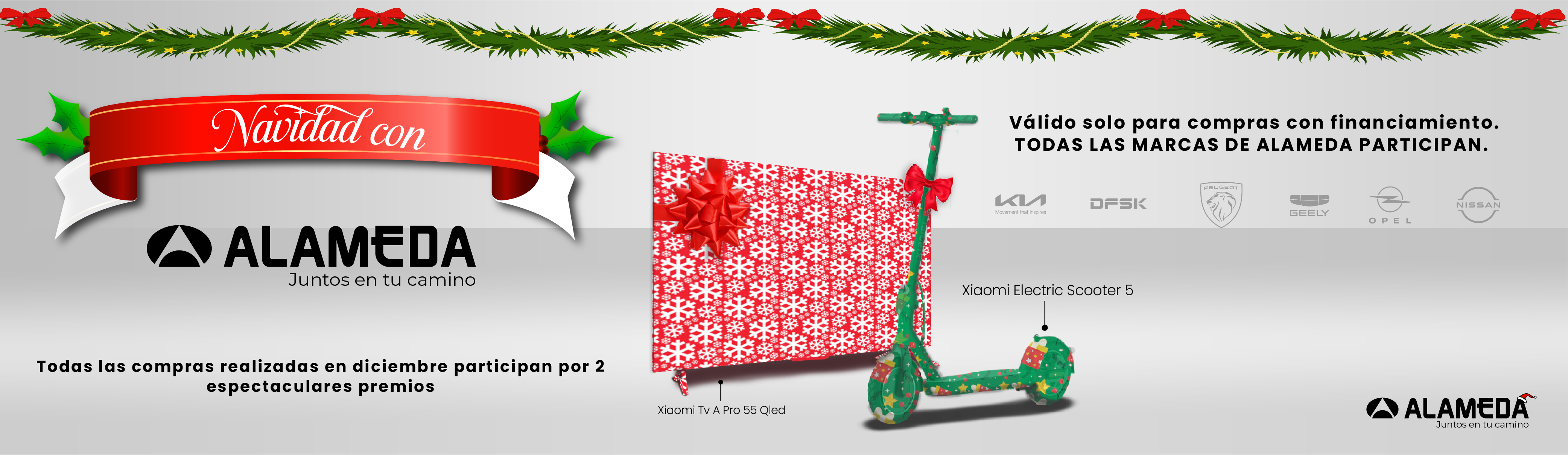 Promo Navideña 2025